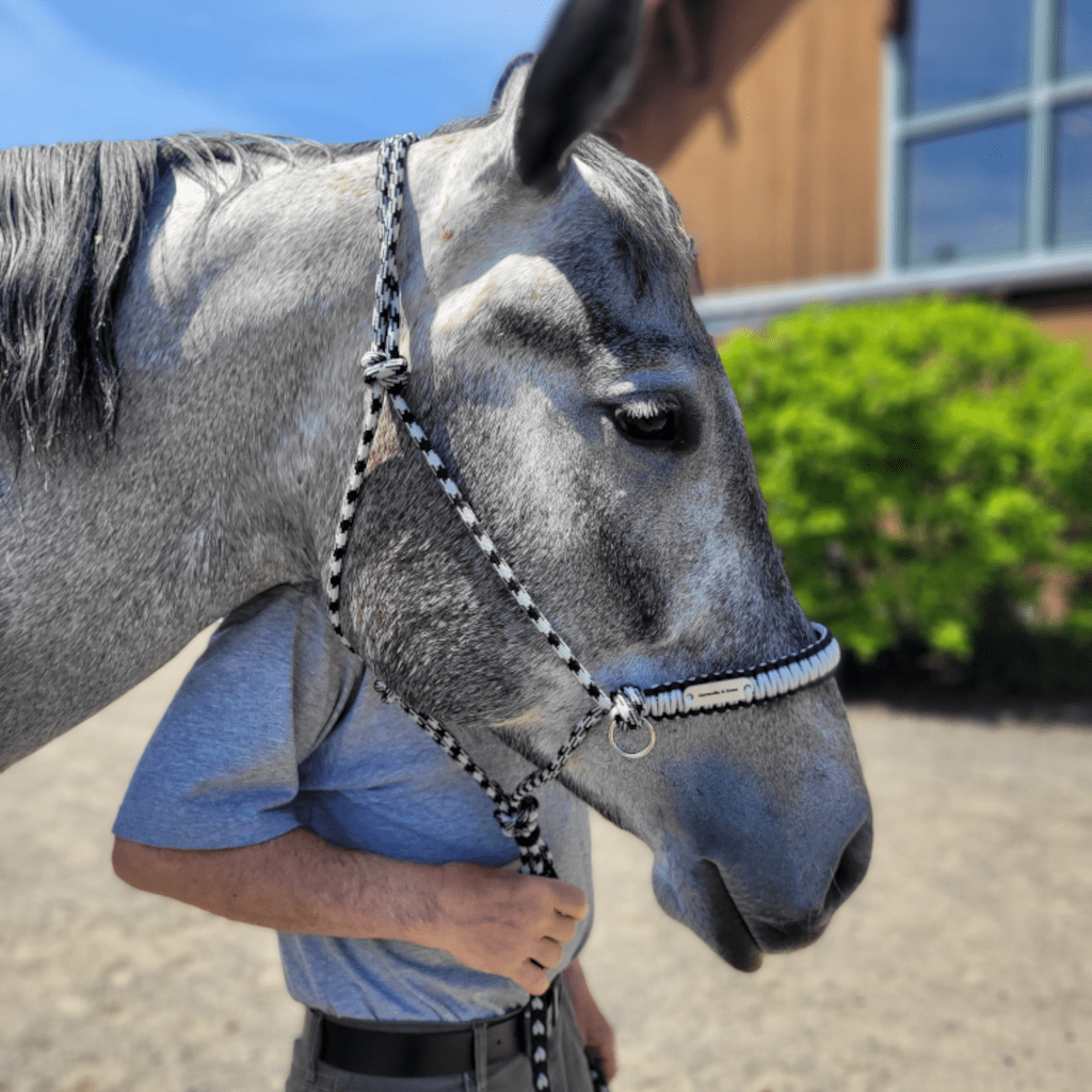 Equestrian