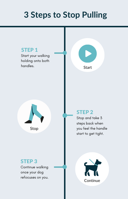 3-step-infographic_032550eb-4535-4c44-b99a-8d71b8a392ca.png