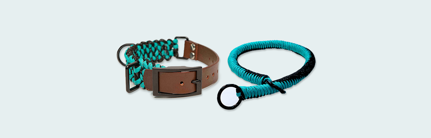 Collar_Collection_db9a6d99-142f-4e1d-9170-592e59a3aa36.png